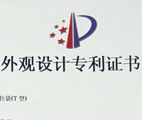 (拉鏈袋-側(cè)風(fēng)琴)外觀設(shè)計專利